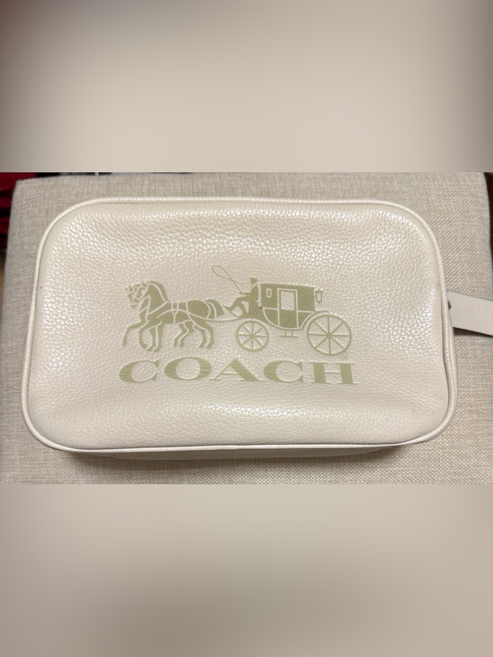 COACH White Leather Camera Bag with Sage Carriage Logo